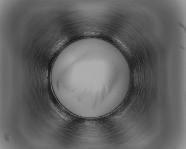 X0000091480490200709131814