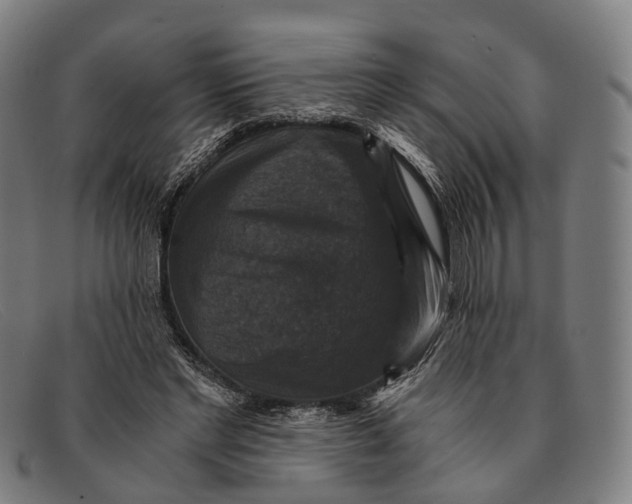 X0000091480493200709131814