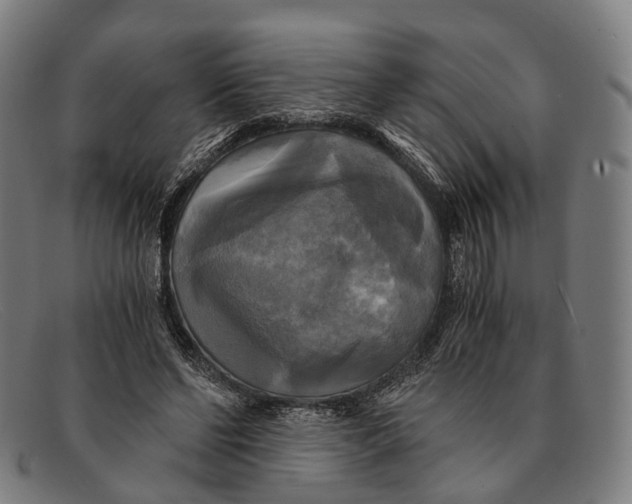 X0000091480494200709131814