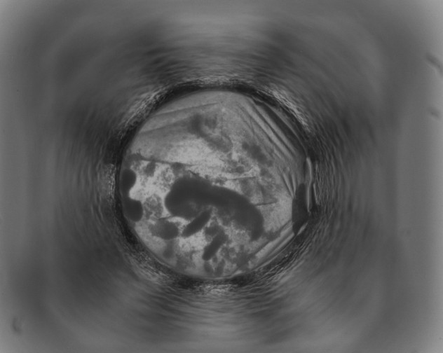 X0000091480495200709131814