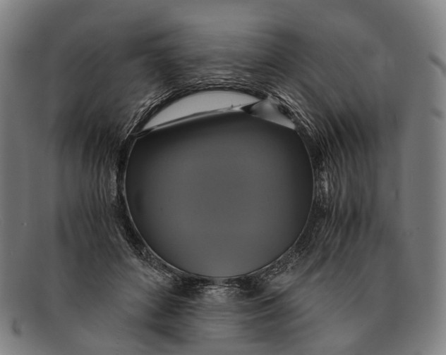 X0000091480504200709131814