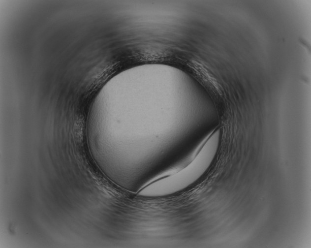 X0000091480505200709131814