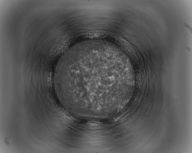 X0000091480510200709131814