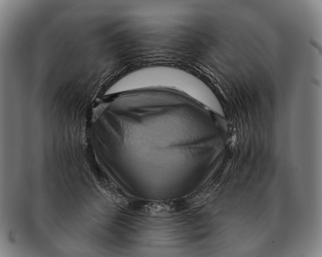 X0000091480512200709131814