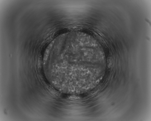 X0000091480515200709131814