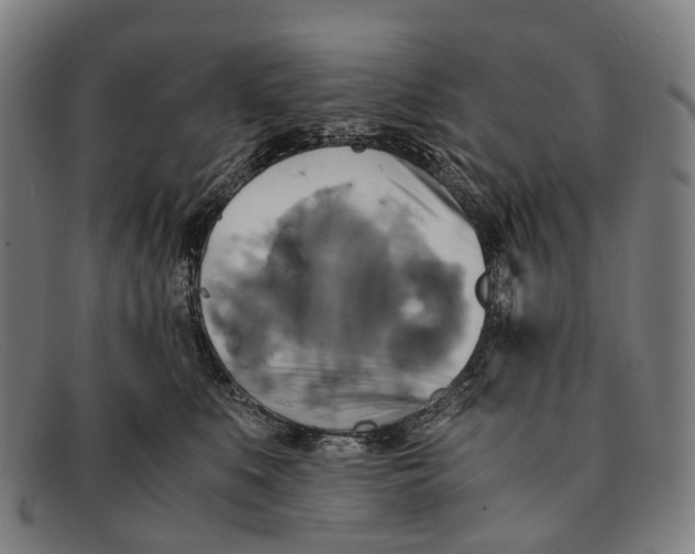 X0000091480519200709131814