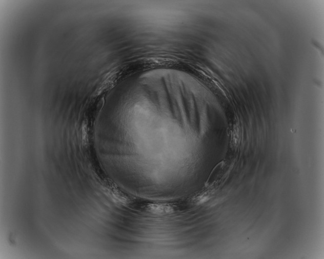 X0000091480520200709131814