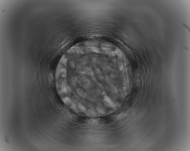 X0000091480523200709131814