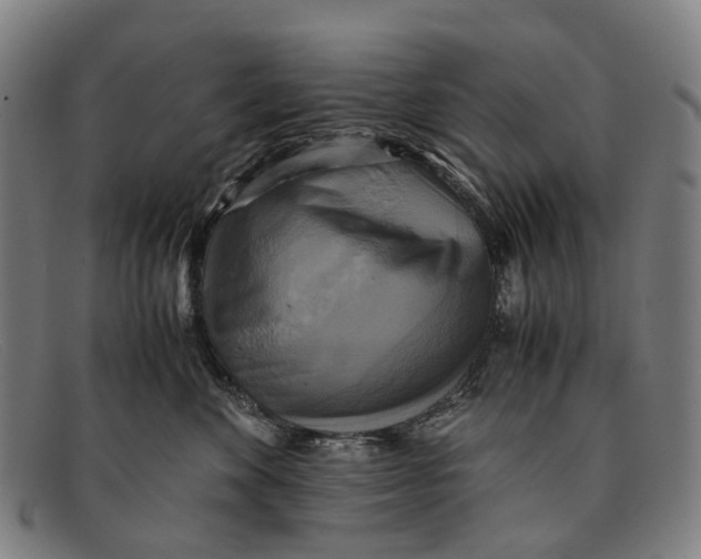 X0000091480524200709131814