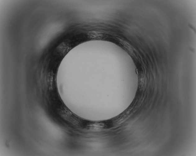 X0000091480525200709131814