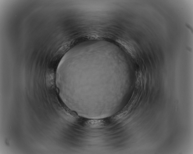 X0000091480526200709131814