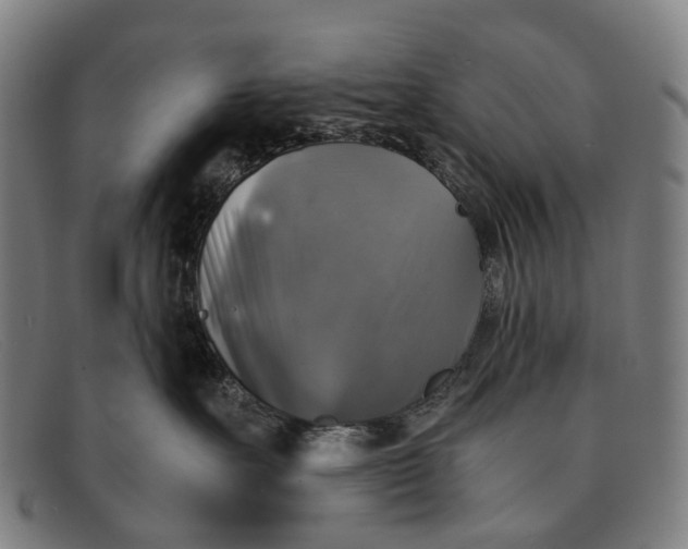 X0000091480527200709131814