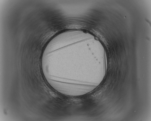 X0000091480529200709131813