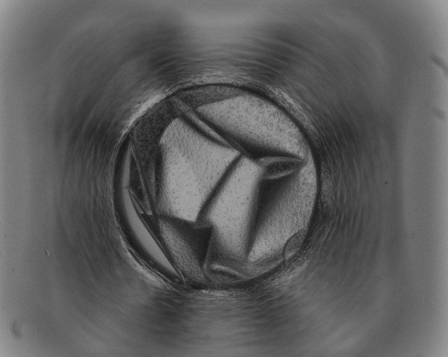 X0000091480530200709131813