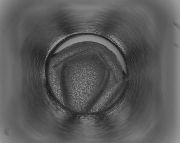 X0000091480532200709131813