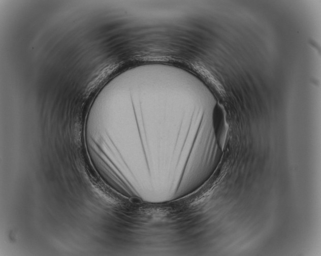 X0000091480533200709131813