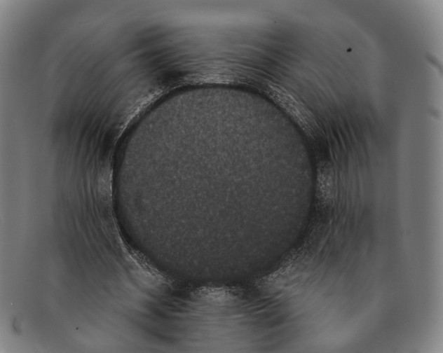 X0000091480534200709131813