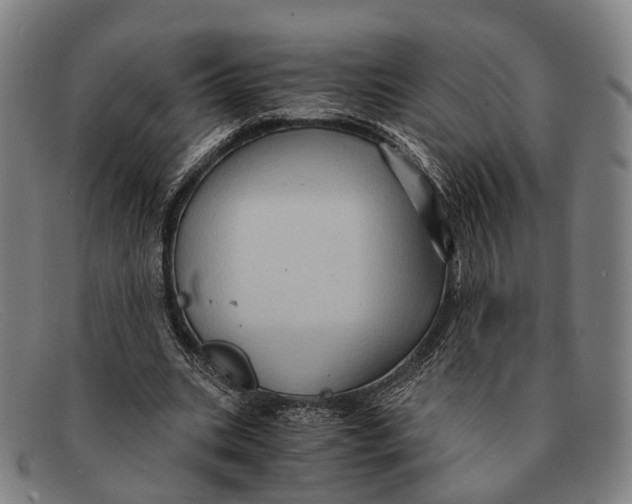 X0000091480535200709131813