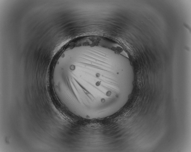 X0000091480536200709131813