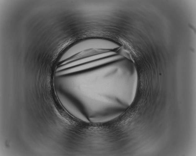 X0000091480538200709131813