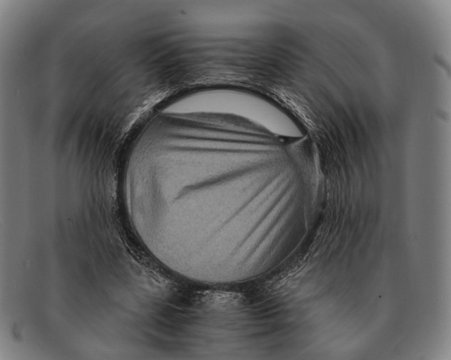 X0000091480539200709131813