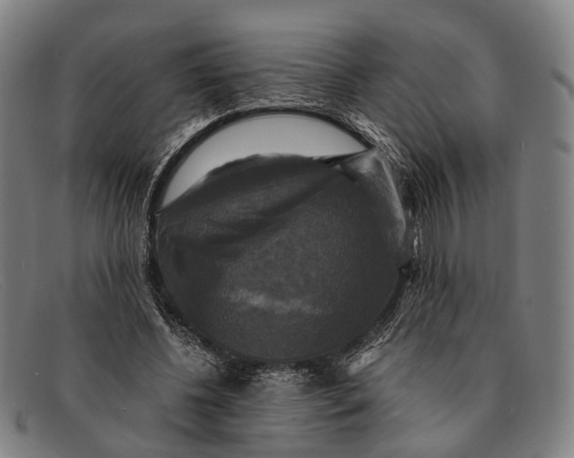 X0000091480540200709131813