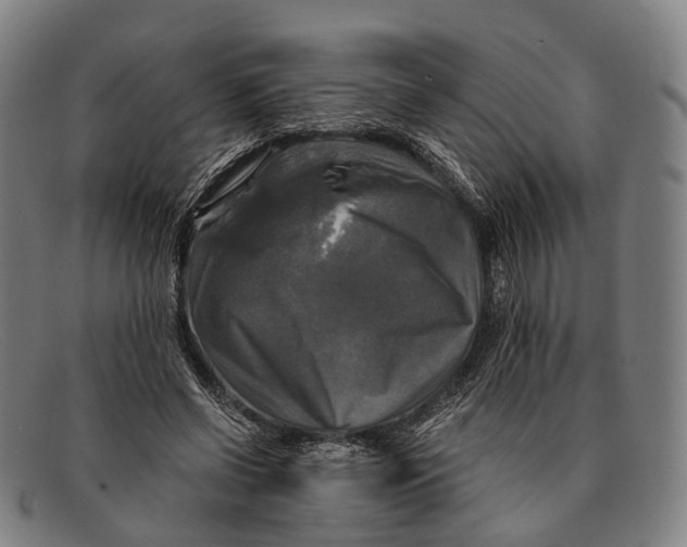 X0000091480542200709131813