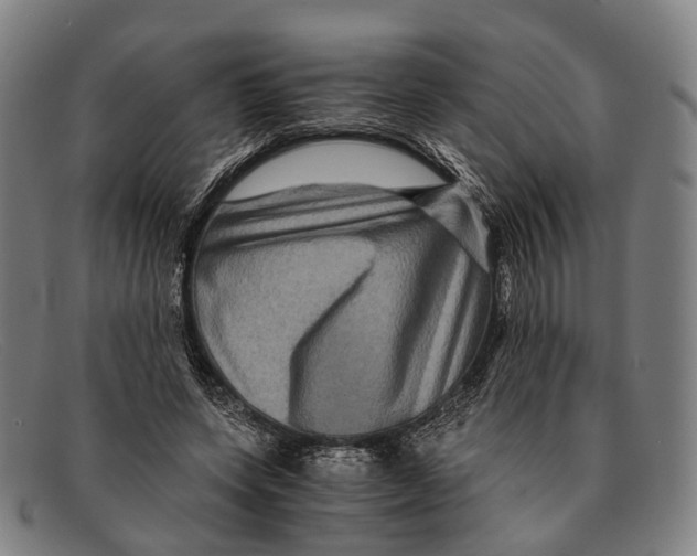 X0000091480543200709131813