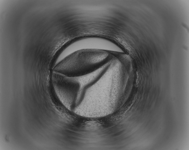 X0000091480544200709131813