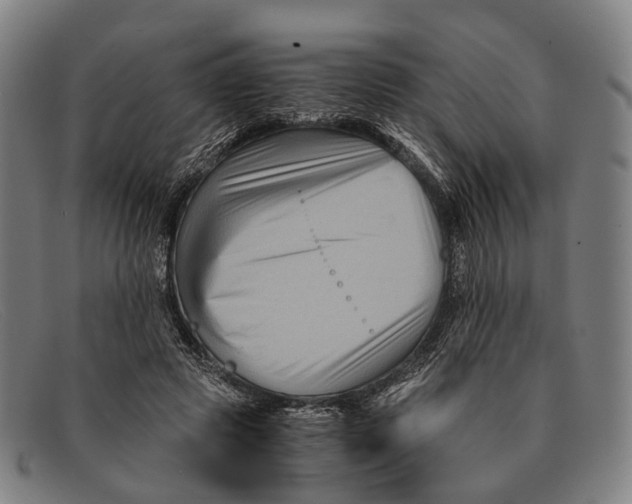 X0000091480545200709131813