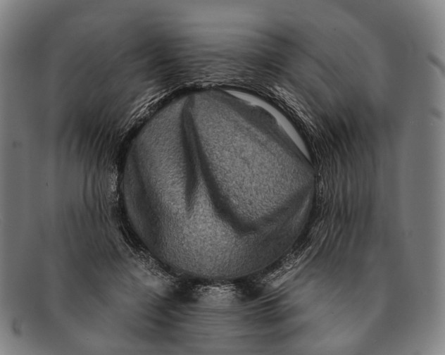 X0000091480548200709131813