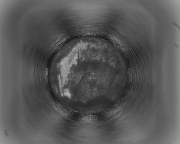 X0000091480550200709131813