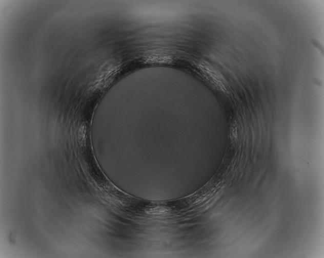 X0000091480551200709131813