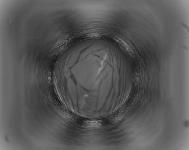 X0000091480553200709131813