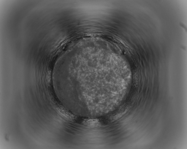 X0000091480554200709131813