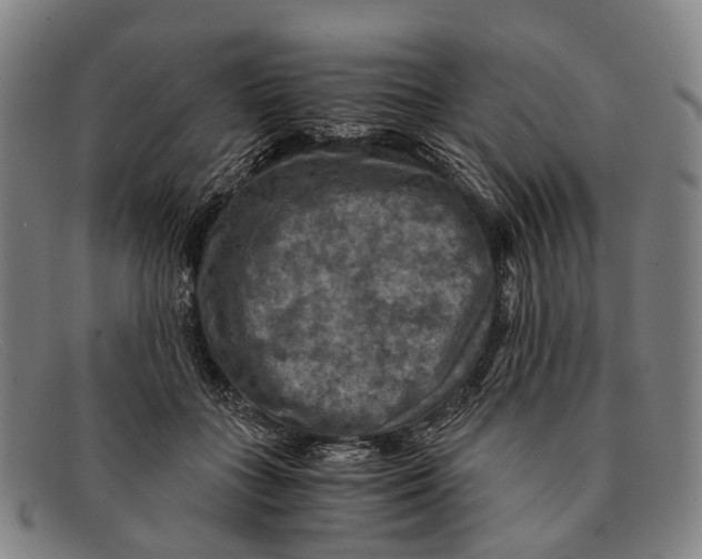 X0000091480555200709131813