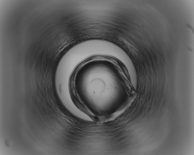 X0000091480556200709131813