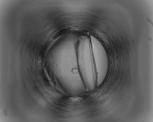 X0000091480557200709131813