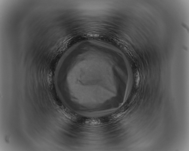 X0000091480559200709131814