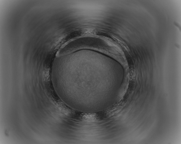 X0000091480560200709131814