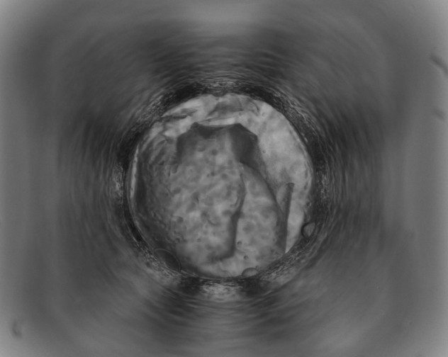 X0000091480561200709131814