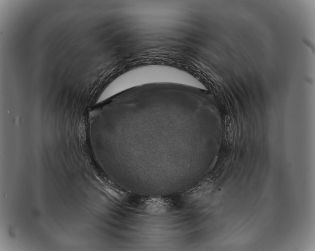 X0000091480562200709131814