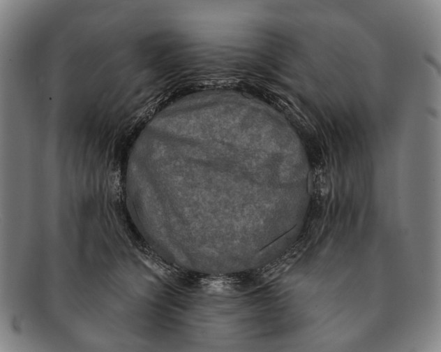 X0000091480564200709131814