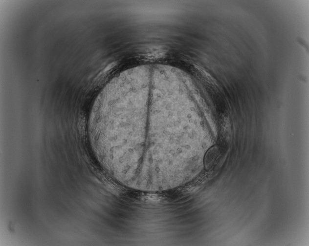 X0000091480565200709131814