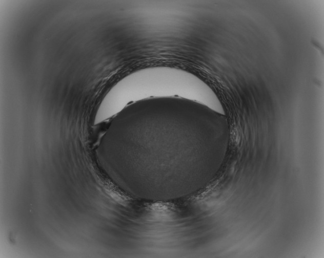 X0000091480566200709131814