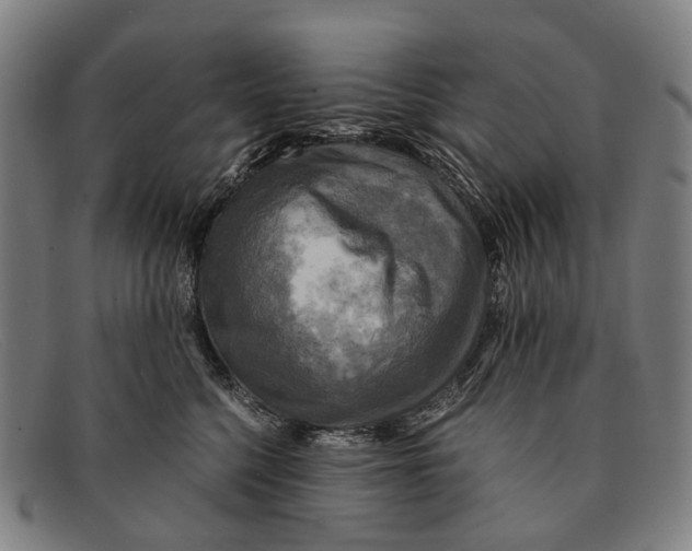 X0000091480568200709131814