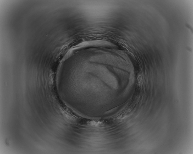 X0000091480570200709131814