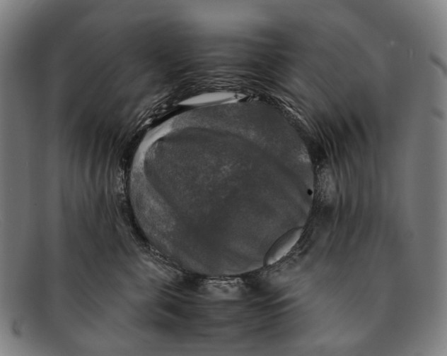 X0000091480571200709131814