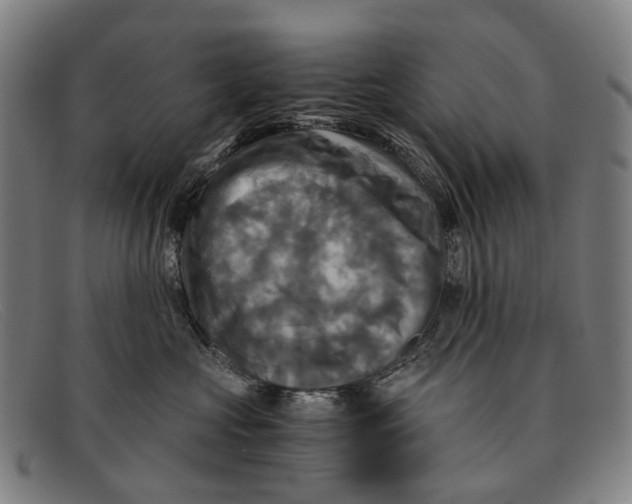 X0000091480573200709131814