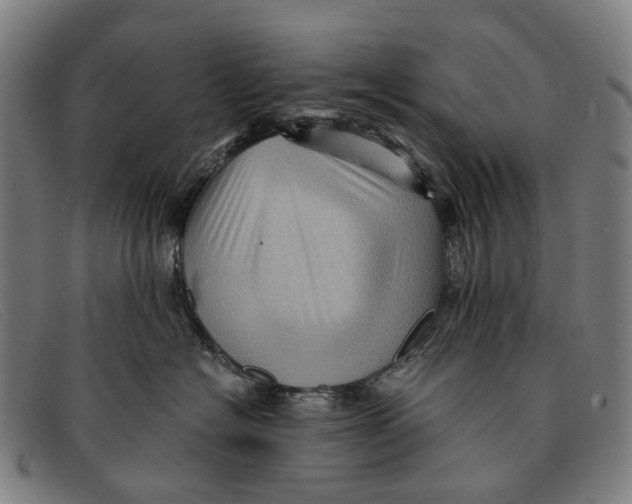 X0000091480574200709131814